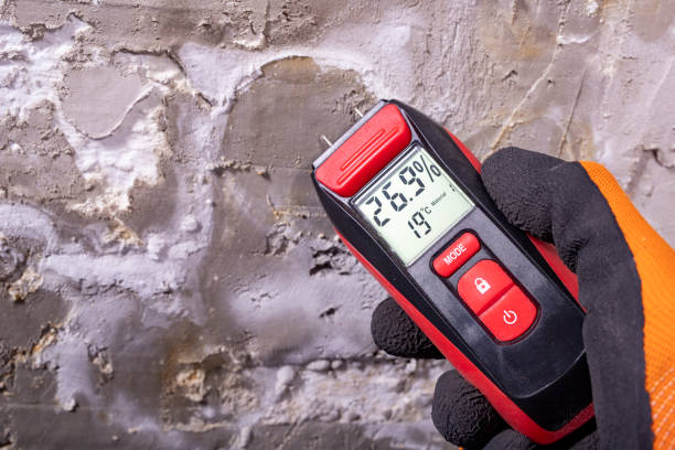 Crawl Space Mold Removal in Walnut Grove, CA
