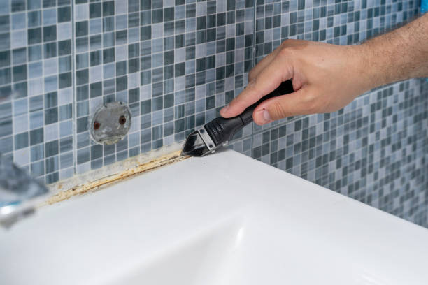 Best Fast Mold Removal  in Walnut Grove, CA