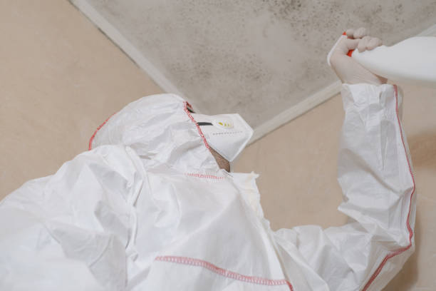Best Mold Testing  in Walnut Grove, CA