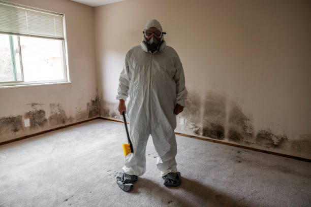 Best Toxic Mold Removal  in Walnut Grove, CA